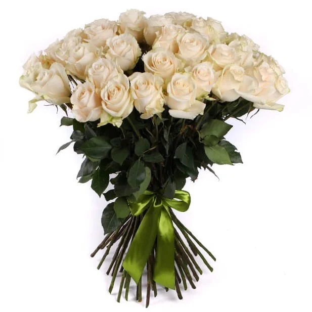 Роза "Венделла"