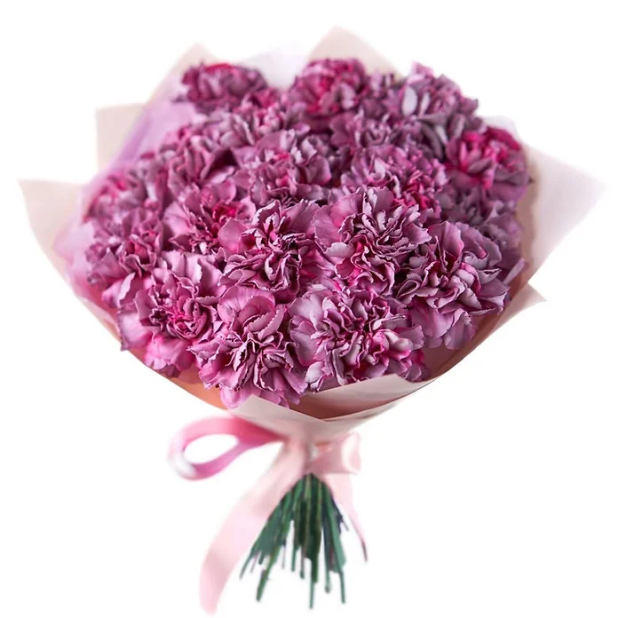 Букет из 25 лунных гвоздик