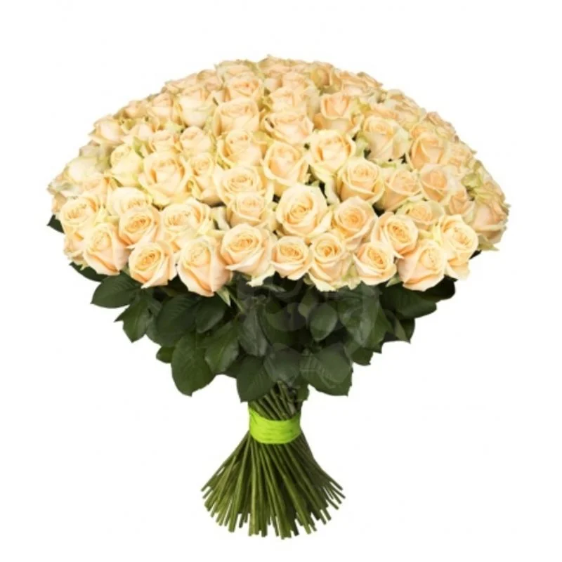 Роза "Пич Аваланж"