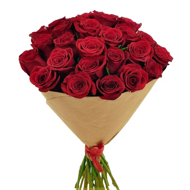 25 эквадорских роз в крафте