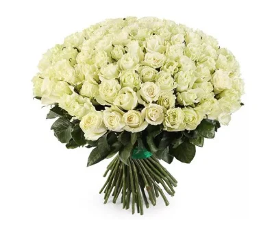 Роза "Мондиал", 1 шт