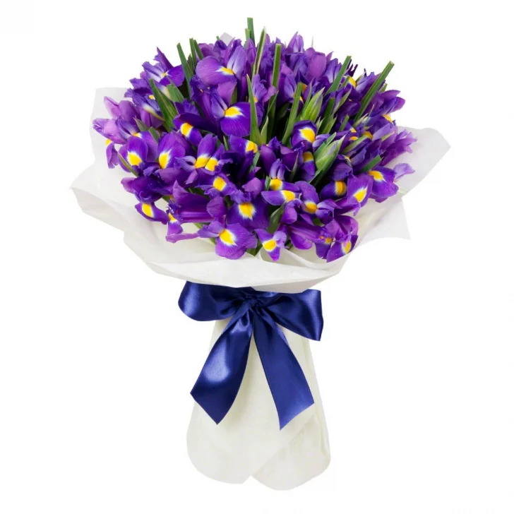 Ирис "Блю Мэджик"