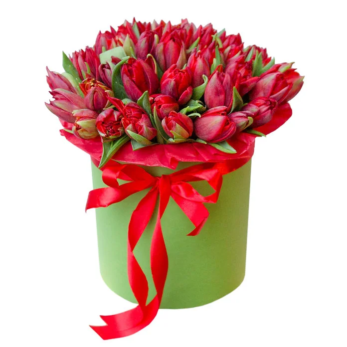 51 тюльпан в коробке