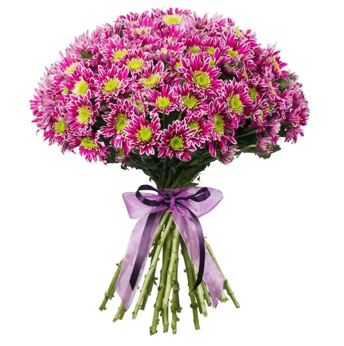 Букет из 19 кустовых хризантем