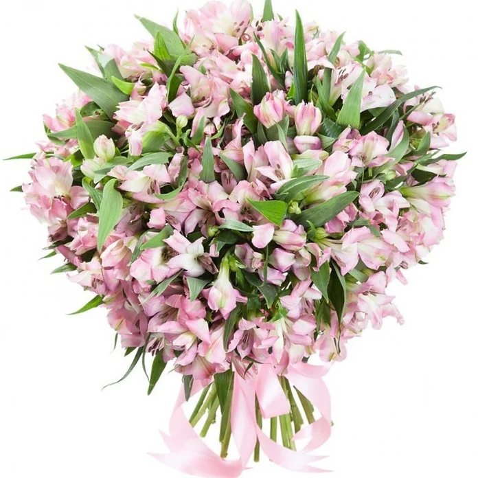 Букет из 29 розовых альстромерий