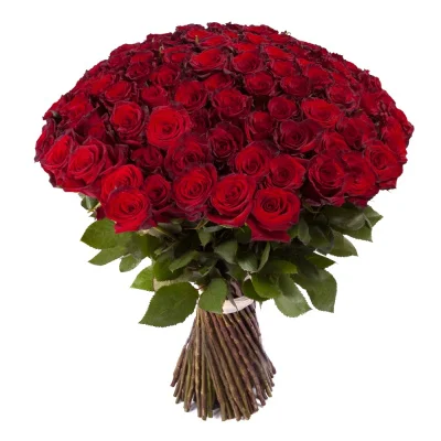 101 Роза "Эксплорер" 60 см