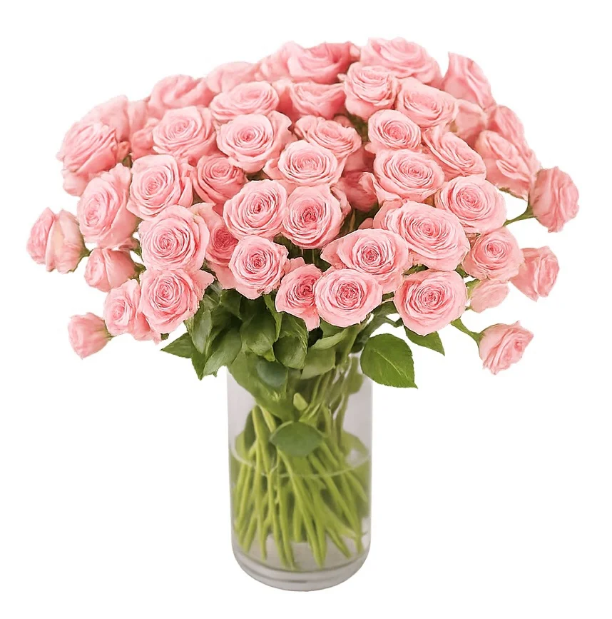 Роза кустовая Спрей 60 см, 1 шт