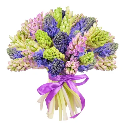 Гиацинт, 1 шт