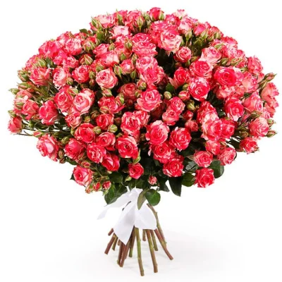 Роза кустовая "Фаерфокс", 1 шт