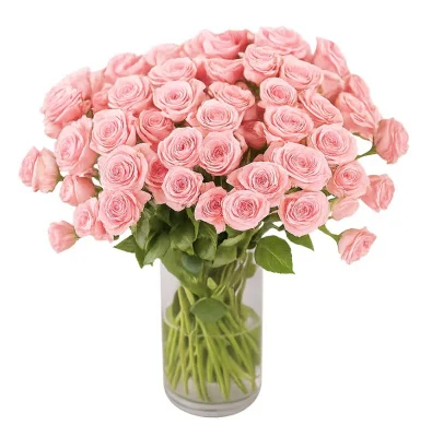 Роза кустовая Спрей 60 см, 1 шт