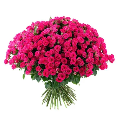 Роза кустовая кенийская, 1 шт