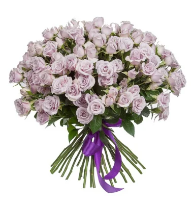 Роза кустовая голландская, 1 шт