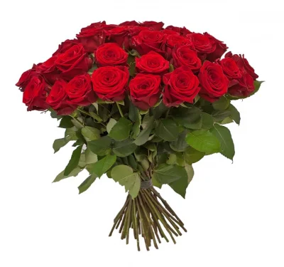 Роза "Престиж", 1 шт