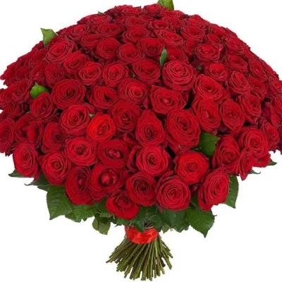 101 Роза "Рэд Наоми" 60 см