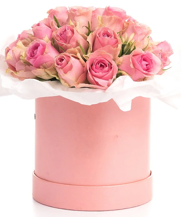 23 розовые розы в коробке