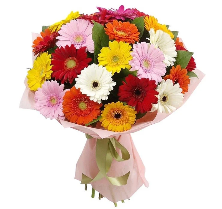 Букет из 21 герберы с салалом