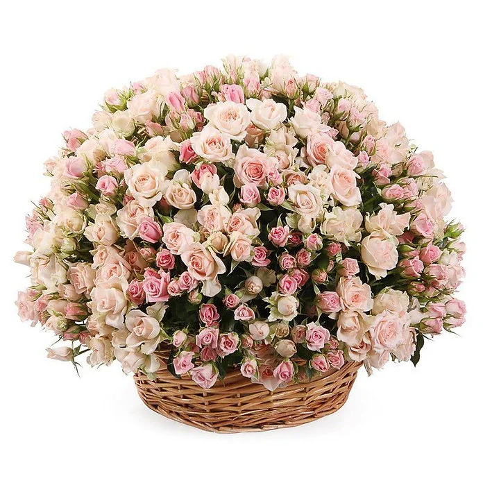 101 розовая кустовая роза в корзине