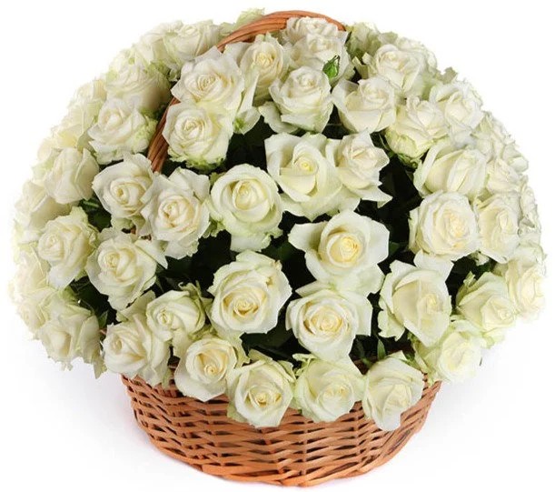 101 роза "Аваланж" в корзине