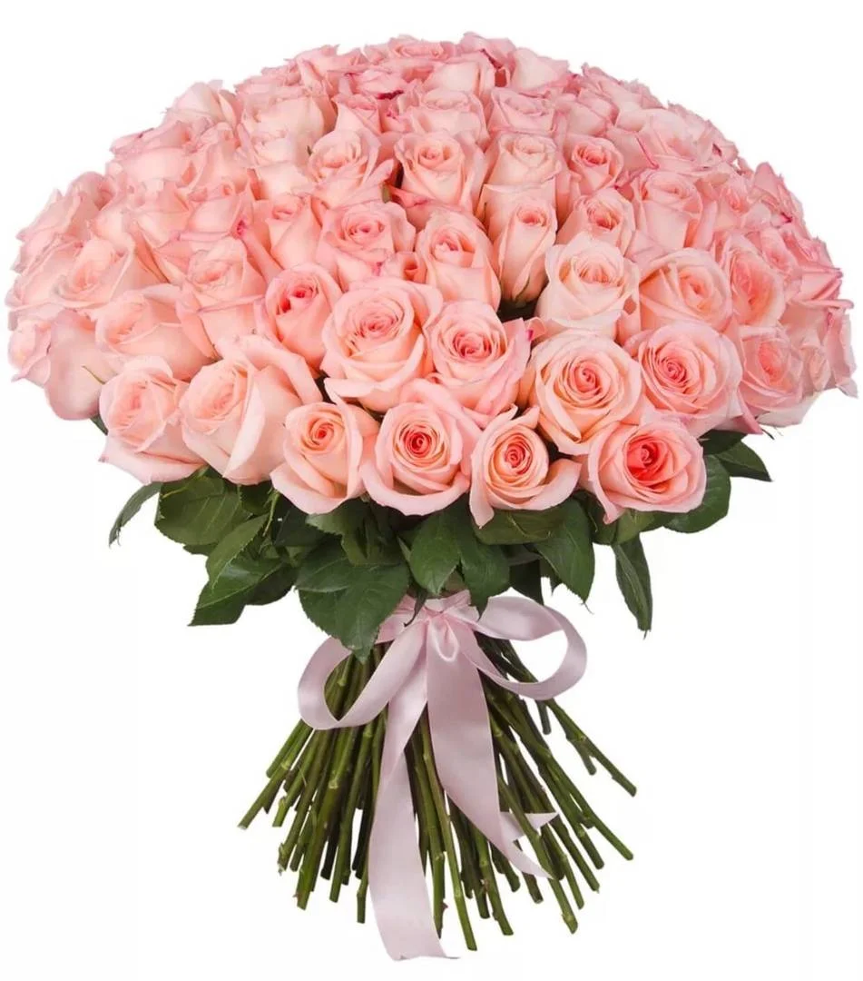 Роза "Энгажемент"