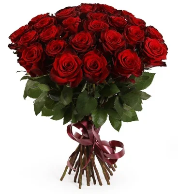 Роза "Эксплорер", 1 шт