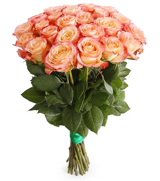 Роза "Кабаре"