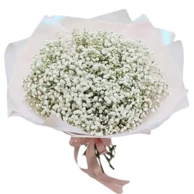 Гипсофила, 1 шт