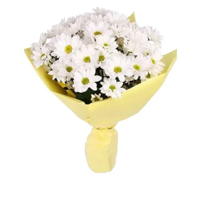 Хризантема кустовая, 1 шт