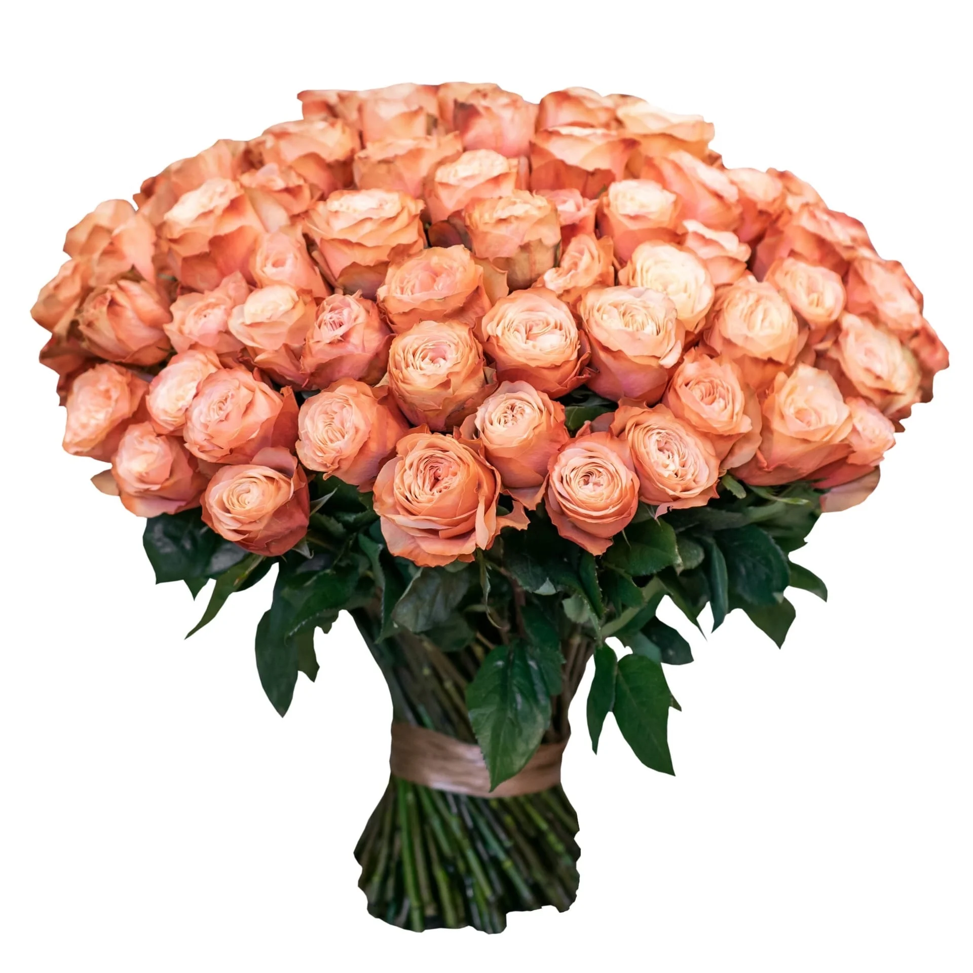 Роза "Кахала"