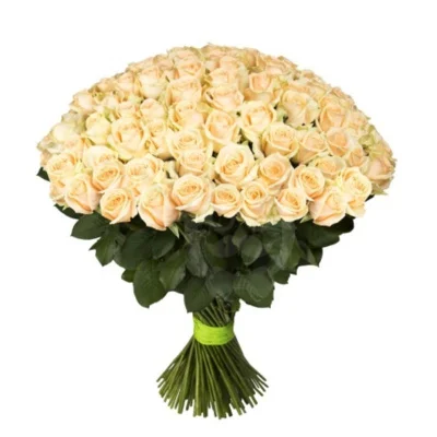 Роза "Пич Аваланж", 1 шт