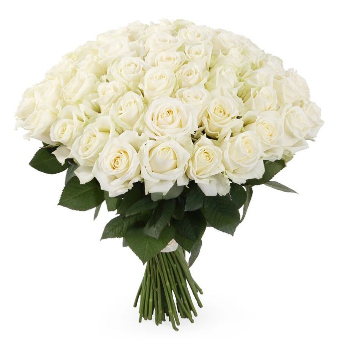 Роза "Valentine"